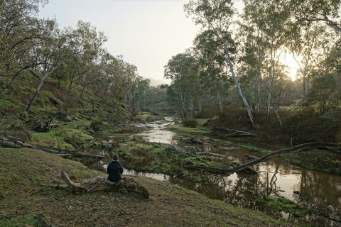 Highfield Farm And Woodland Bush Campsites - Darwin Holiday 2