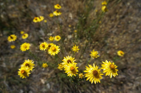 Highfield Farm And Woodland Bush Campsites - Darwin Holiday 3
