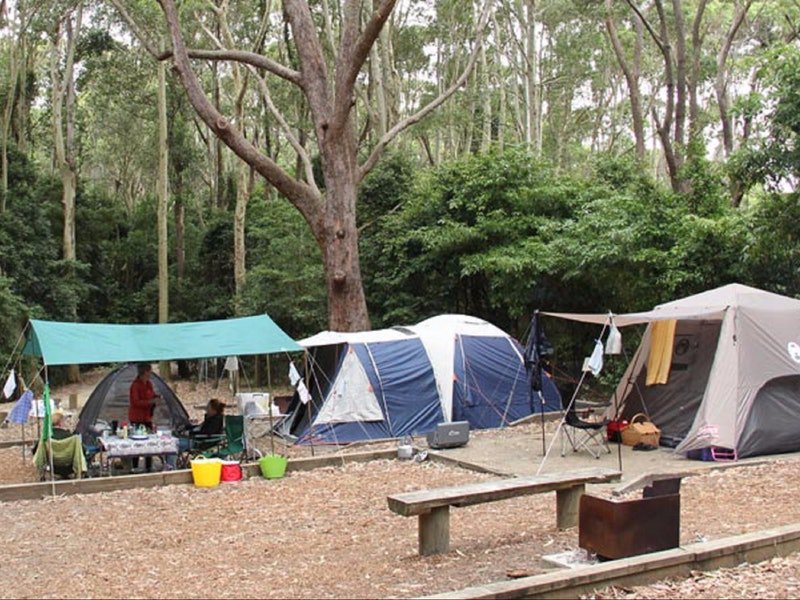 Washpool NSW Darwin Holiday