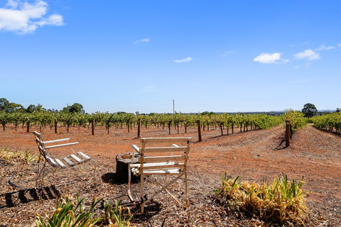 'In The Vines' Guest Cottage - Darwin Holiday 8