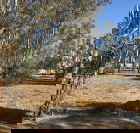 Kadesh Mudbrick Cottage - Darwin Holiday