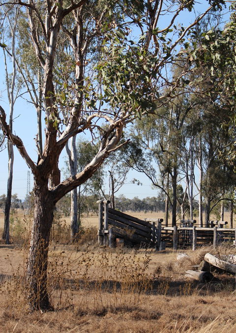 Keira Farm - Darwin Holiday 3