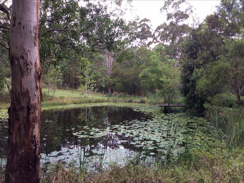 Maleny Country Cottages - Darwin Holiday 3