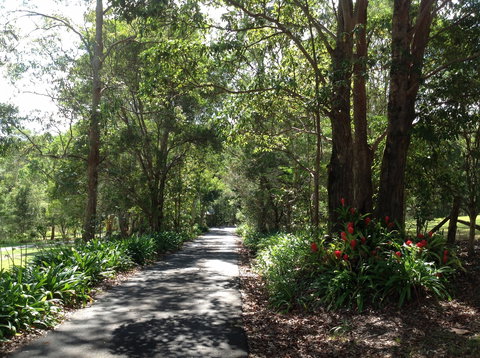 Maleny Country Cottages - Darwin Holiday 8