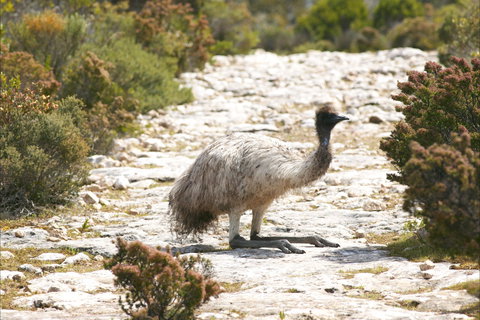 Mallee Lodge - Innes National Park - Darwin Holiday 7