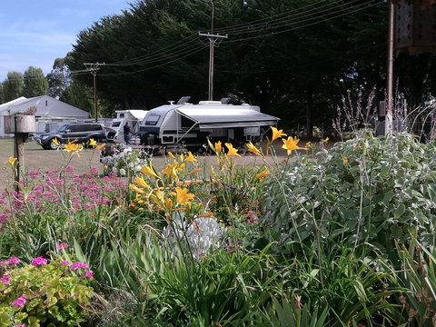 Millicent Showground RV Park - Darwin Holiday 0