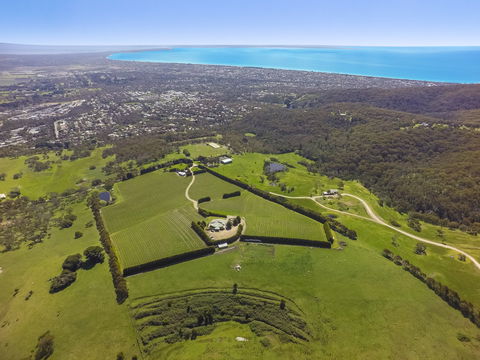 Mornington Peninsula Glamping - Darwin Holiday 5