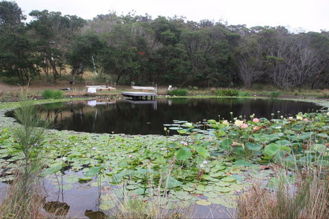 Murrah Luxury Holiday Accommodation - Darwin Holiday 8