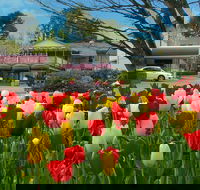 Nesuto Leura Gardens Hotel