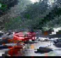 nightfall  camp - Darwin Holiday