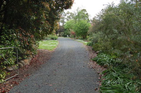 Gisborne BnB Peonies And Pomegranates  - Darwin Holiday 0