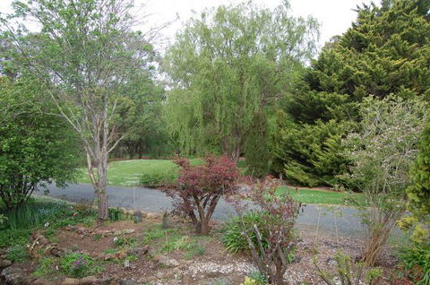 Gisborne BnB Peonies And Pomegranates  - Darwin Holiday 1