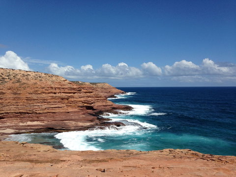 Pelican's Nest - Darwin Holiday 2
