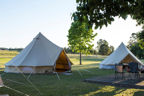 Percy's Place Caravan Park - Darwin Holiday 1