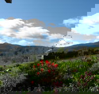 Plovers Ridge Country Retreat