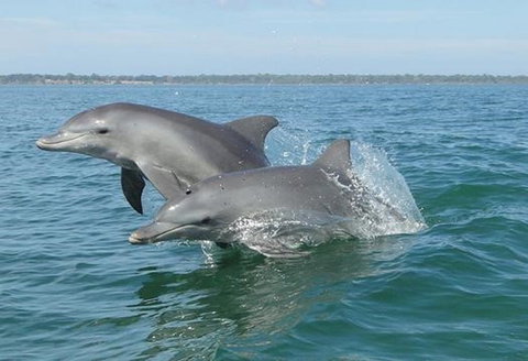 Port Mandurah Canals - Luxury Guest House - Darwin Holiday 8