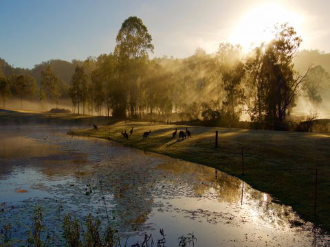 Ramada Resort Kooralbyn Valley - Darwin Holiday 6
