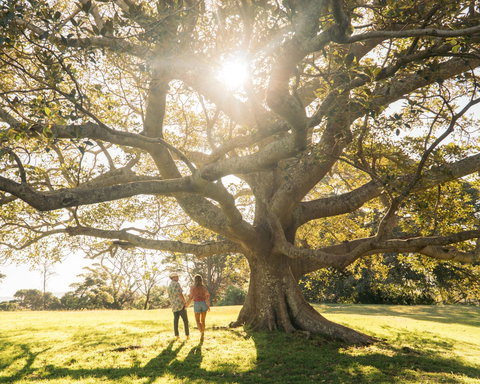Reflections Killalea Reserve - Darwin Holiday 9