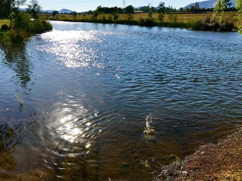 Russley Rural Retreat - Darwin Holiday 4