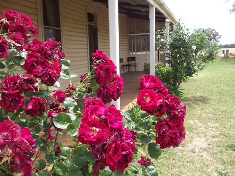 Savernake Farm Stay - Darwin Holiday 5