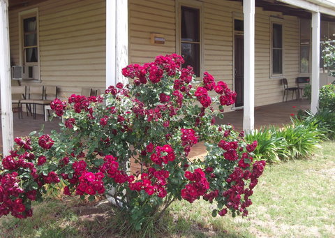 Savernake Farm Stay - Darwin Holiday 6