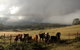 Silver Ridge Retreat - thumb 6