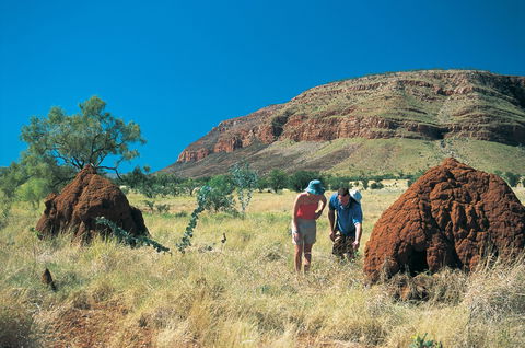 Silent Grove Camp At Wunaamin Miliwundi Ranges Conservation Park - Darwin Holiday 3