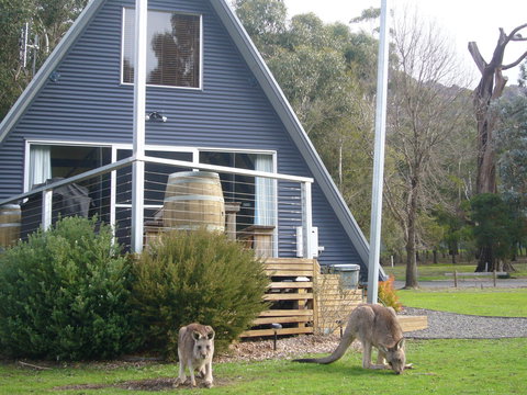 The A-Frame - Darwin Holiday 9