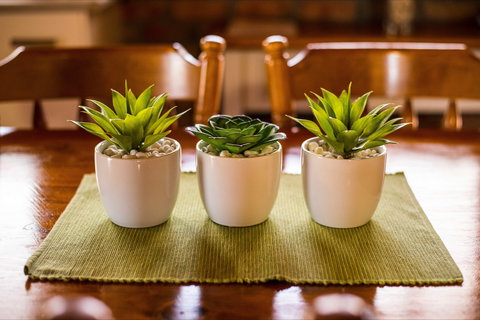 The Creek Cottage - Darwin Holiday 8