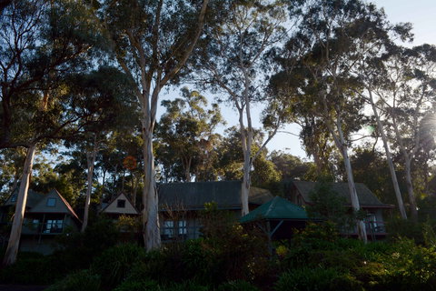 The Great Ocean Road Cottages And Backpackers - Darwin Holiday 2