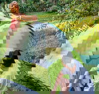 Warrabah campground and picnic area - Darwin Holiday