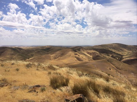 Wilkatana Station - Darwin Holiday 4