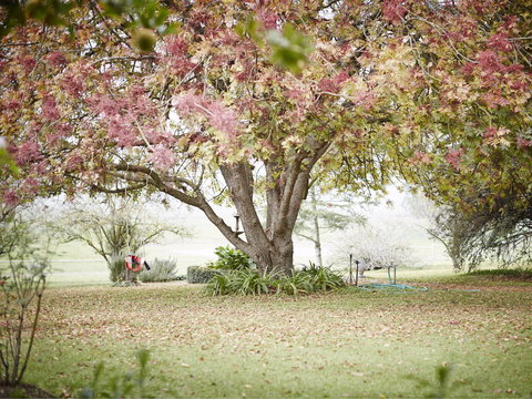 WillOaks B&B - Darwin Holiday 8
