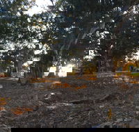 Almerta Station - Darwin Holiday