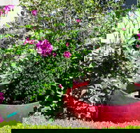 Armidale Pines Motel - Darwin Holiday