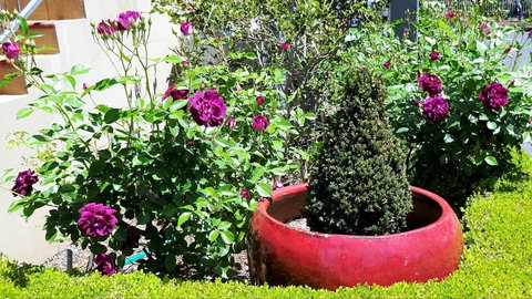 Armidale Pines Motel - Darwin Holiday 0