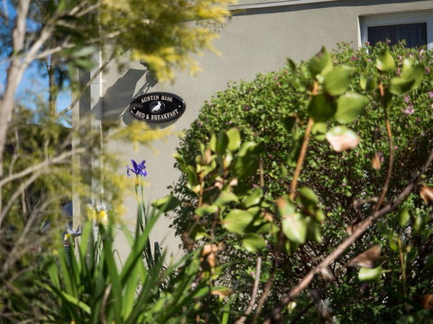 Austin Rise B&B - Darwin Holiday 1