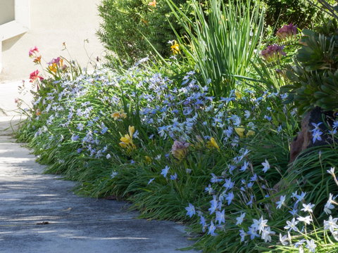 Austin Rise B&B - Darwin Holiday 2