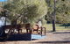Bandalong Cottages - thumb 4