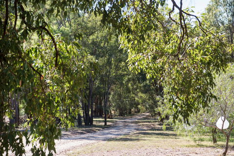 Bandalong Cottages - Darwin Holiday 9