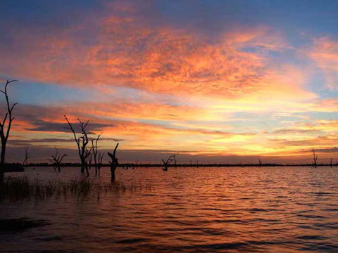 BIG4 NRMA Yarrawonga Mulwala Holiday Park - Darwin Holiday 0
