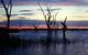 BIG4 NRMA Yarrawonga Mulwala Holiday Park - thumb 9