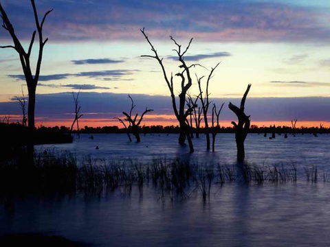 BIG4 NRMA Yarrawonga Mulwala Holiday Park - Darwin Holiday 9