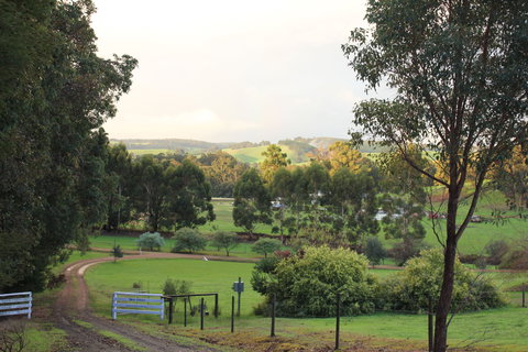 Blue House Bed And Breakfast - Darwin Holiday 2