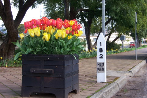 Blue House Bed And Breakfast - Darwin Holiday 9