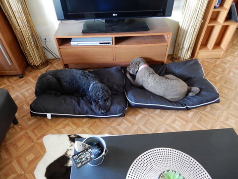 Bootsy's Retreat - Darwin Holiday 1