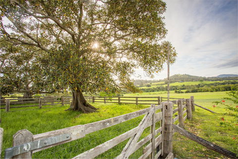 Bo-Warra Farmstay - Darwin Holiday 2