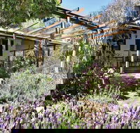 Capertee Homestead - 'Port Macquarie' - Darwin Holiday