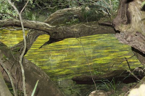 Clyde River Retreat - Darwin Holiday 2