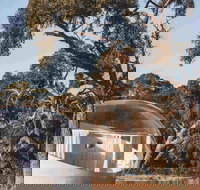 Coonawarra Bubble Tents - Darwin Holiday